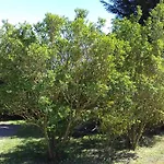 Chalet Domaine Du Hulobiet *