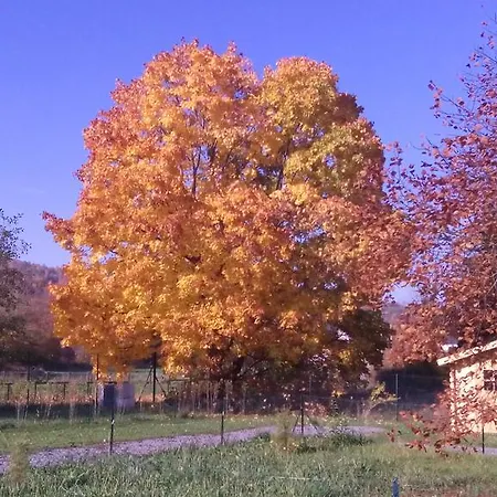 Chalet Domaine Du Hulobiet