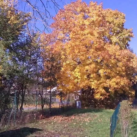Chalet Domaine Du Hulobiet Fromelennes
