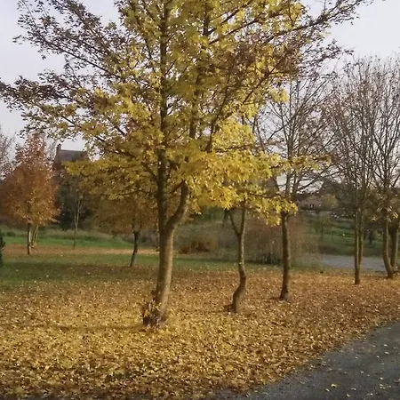 Chalet Domaine Du Hulobiet