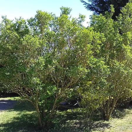 Chalet Domaine Du Hulobiet *