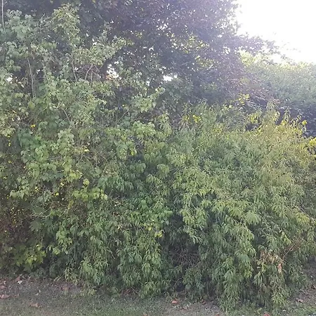 Domaine Du Hulobiet Chalet *