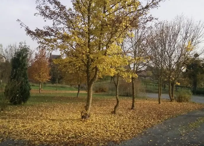 Chalet Domaine Du Hulobiet