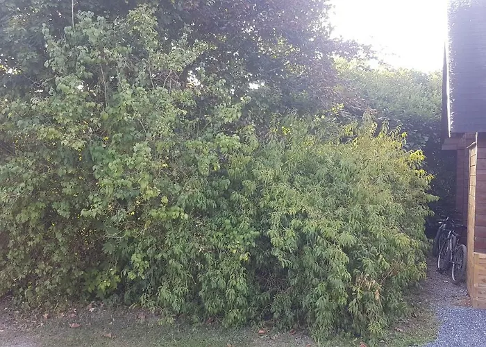 Domaine Du Hulobiet Chalet *